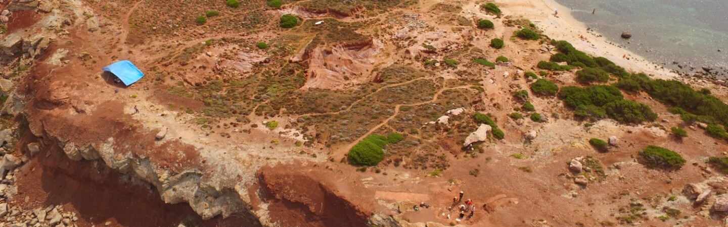 Torre del Porticicolo dinosauro